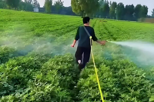 农药剂的主要特点和技术，农药剂起保护作用