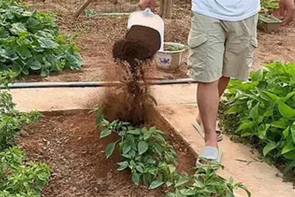 有机肥料的种类，常见饼肥、人畜粪尿等类型