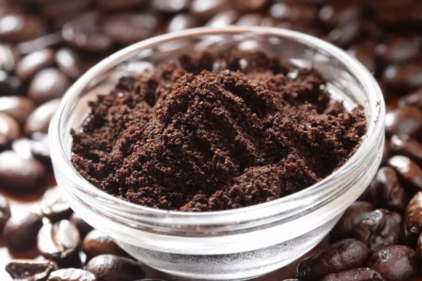 咖啡渣能直接放在花盆里吗，建议腐熟后再与土壤混用