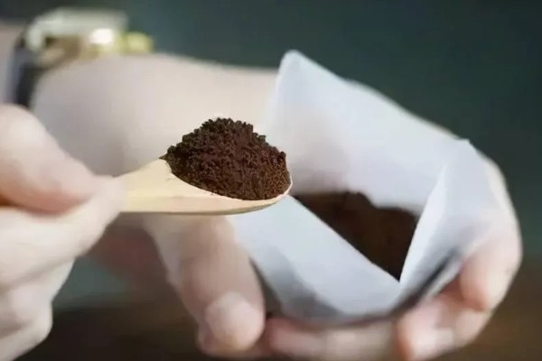 咖啡渣能直接放在花盆里吗，建议腐熟后再与土壤混用