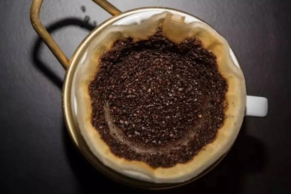 咖啡渣能直接放在花盆里吗，建议腐熟后再与土壤混用