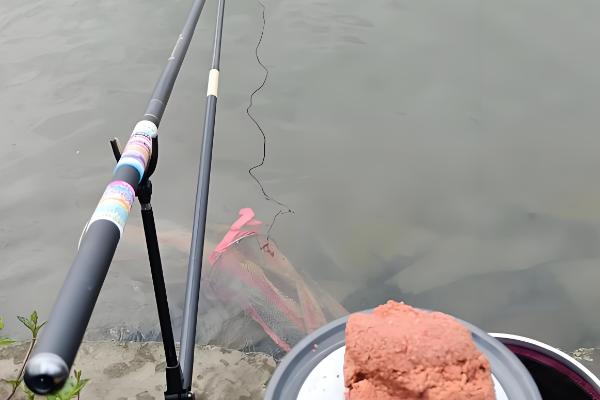 哪些手竿的价格是500元左右,神鹤、宏图、金迦潘等品牌值得推荐