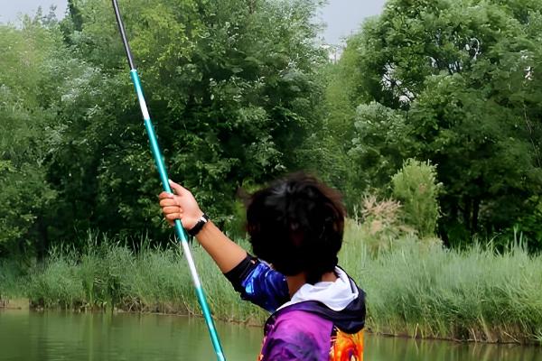 哪些手竿的价格是500元左右,神鹤、宏图、金迦潘等品牌值得推荐