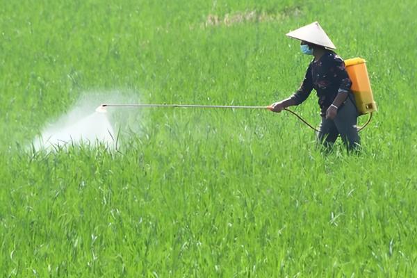 农药剂的主要特点和技术，农药剂起保护作用