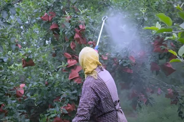 农药剂的主要特点和技术，农药剂起保护作用