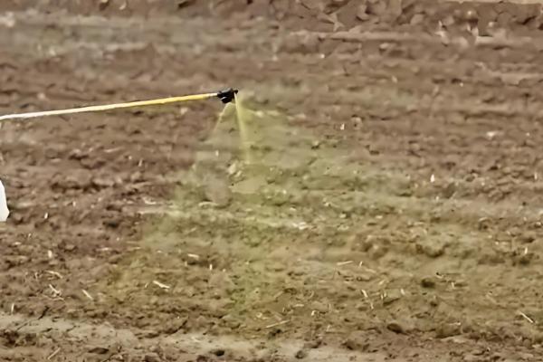 农药剂的主要特点和技术，农药剂起保护作用