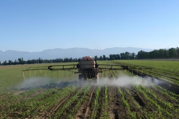 农药剂的主要特点和技术，农药剂起保护作用