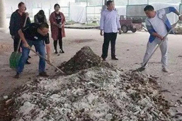 双孢菇如何种植，首次翻堆在建堆6天后