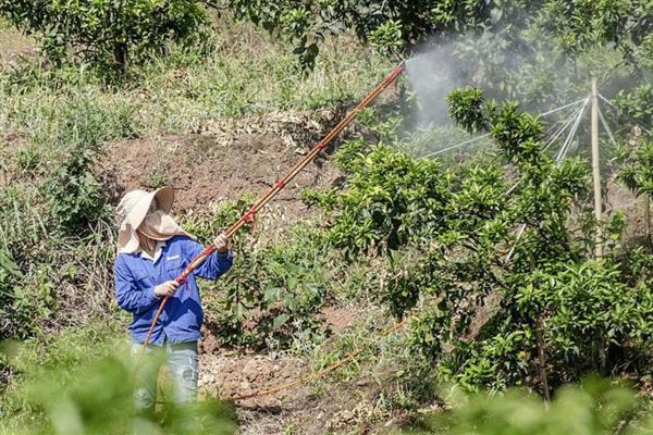 如何化学防治果蝇，可喷洒敌百虫