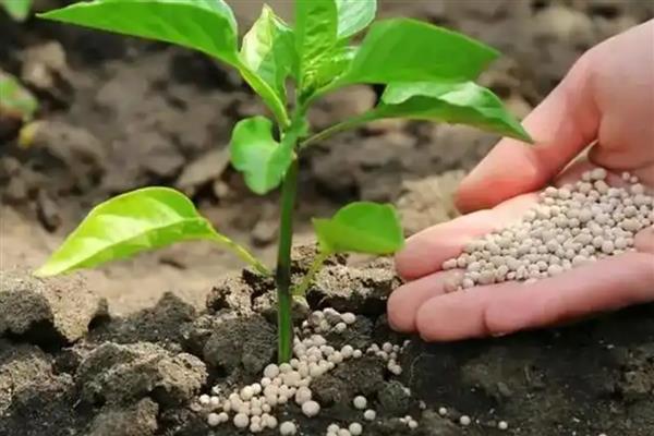 磷钾肥料是什么，指的是富含磷元素、钾元素的化肥