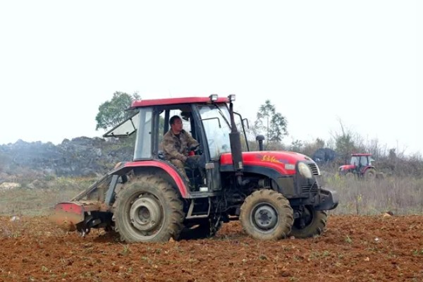 玉米怎么种植，每亩地栽培5000株左右