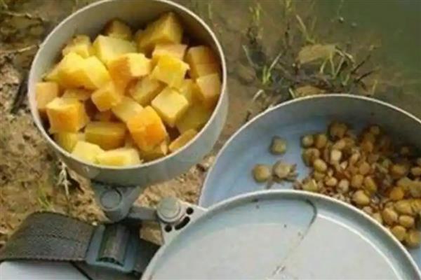 鲤鱼喜欢吃什么天然饵料，玉米、麦粒、红薯等种类都适合使用