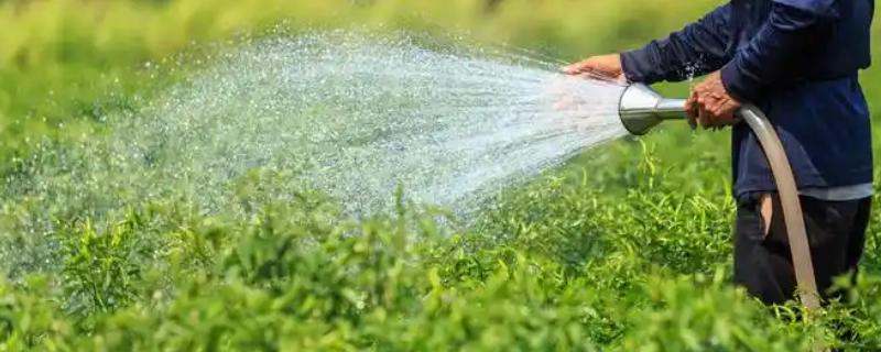 冲施肥的结合使用方法,生物肥与化肥相结合可以活化土壤