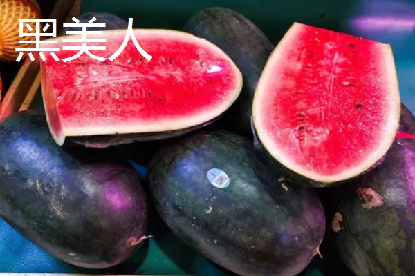 什么品种的西瓜苗最好,推荐早春红玉、黑美人等