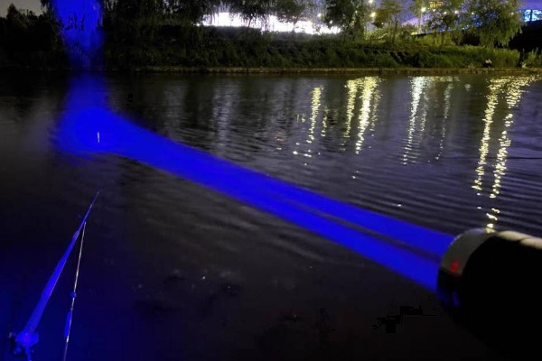 秋季晚上如何垂钓鲢鳙，鱼漂下顿时先遛鱼再提竿