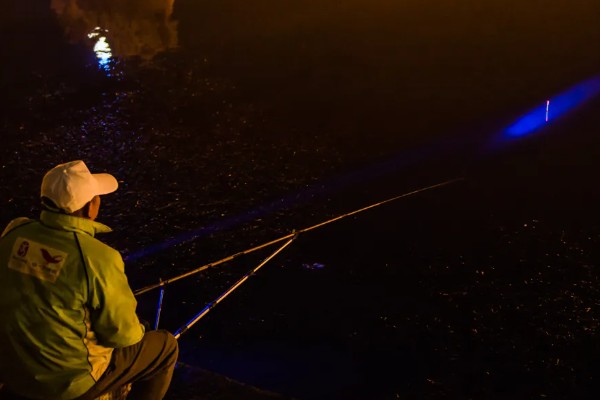 秋季晚上如何垂钓鲢鳙，鱼漂下顿时先遛鱼再提竿