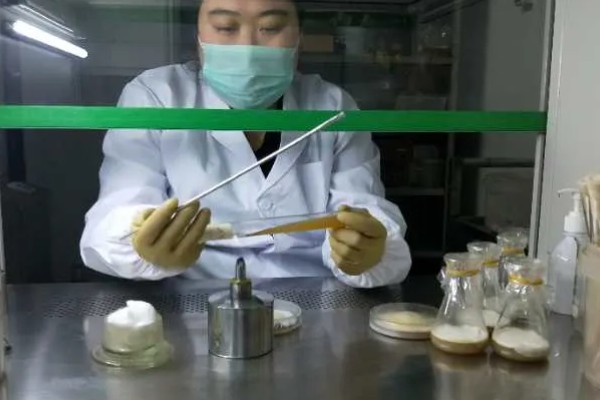 菌种传代的操作规程,菌种管在前接种管在后