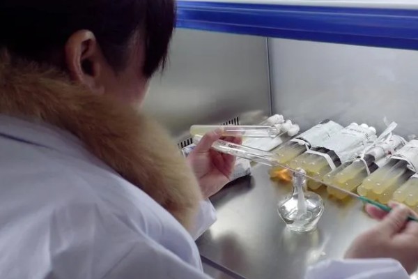 菌种传代的操作规程,菌种管在前接种管在后