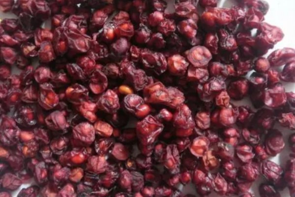 五味子种子如何处理，干燥后进行层积处理