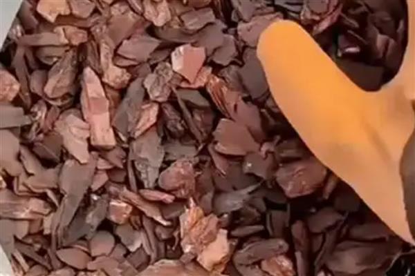 松树皮开水煮了可以直接用吗,可以直接用