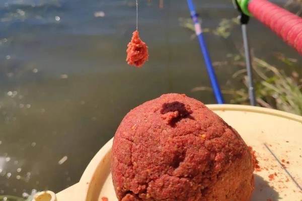 钓鱼要打窝吗，打窝可以增加垂钓的成功率