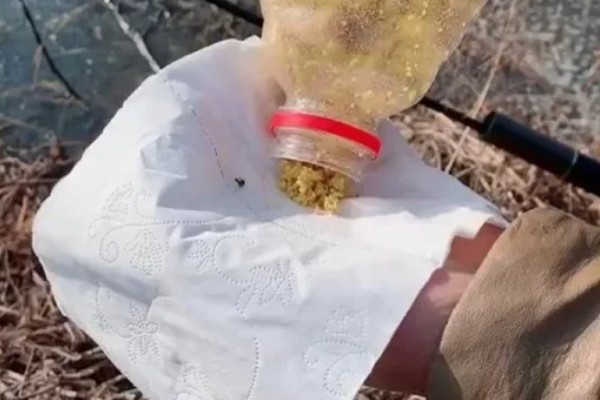 钓鱼要打窝吗，打窝可以增加垂钓的成功率