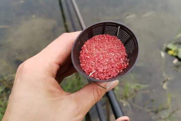 钓鱼要打窝吗，打窝可以增加垂钓的成功率