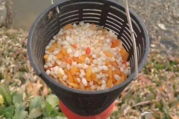 钓鱼要打窝吗，打窝可以增加垂钓的成功率