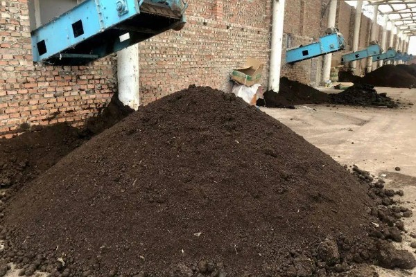 鸡粪怎样发酵成有机肥,可自然发酵也可烘干发酵