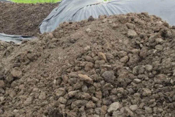 鸡粪怎样发酵成有机肥,可自然发酵也可烘干发酵