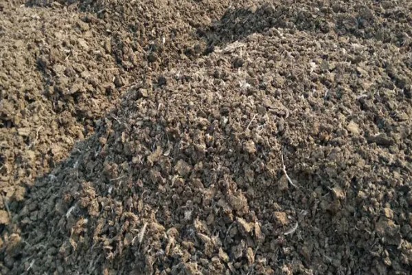 鸡粪怎样发酵成有机肥,可自然发酵也可烘干发酵