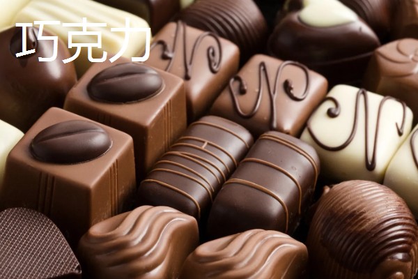 博美犬不能吃的东西,巧克力、牛奶等食物禁止饲喂