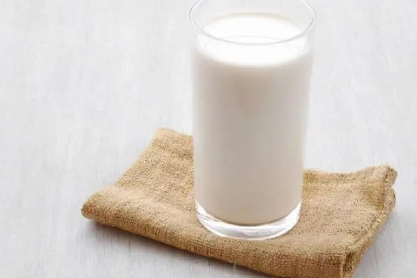 博美犬不能吃的东西,巧克力、牛奶等食物禁止饲喂