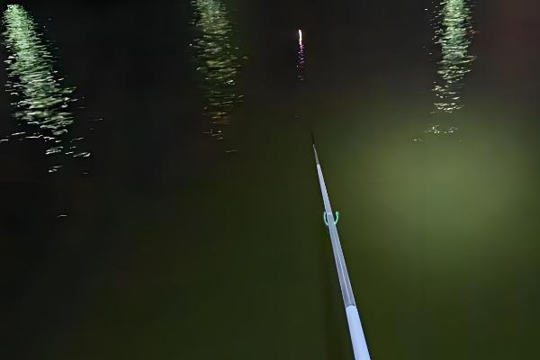 晚上钓鲤鱼怎么钓，选择甜味和清香味的食物作为饵料