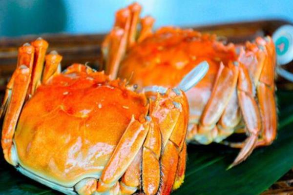 武汉的优质土特产介绍，保丰绿茶深受国际友人喜爱