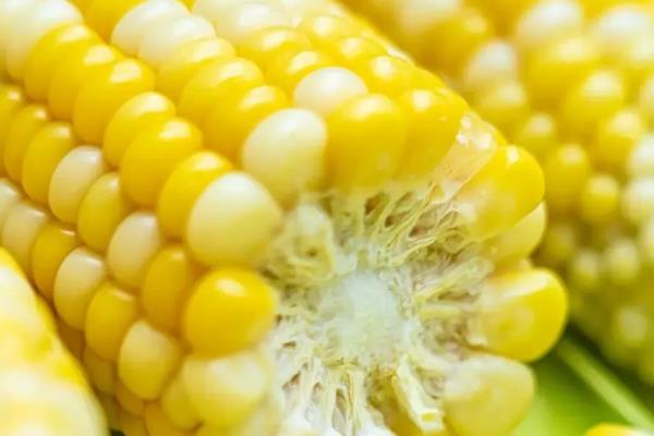 武汉的优质土特产介绍，保丰绿茶深受国际友人喜爱