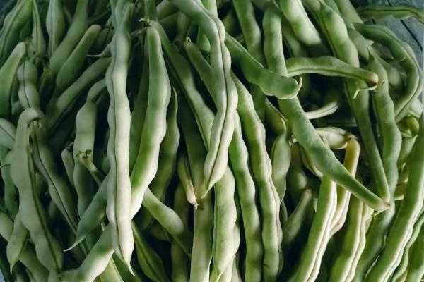 武汉的优质土特产介绍，保丰绿茶深受国际友人喜爱