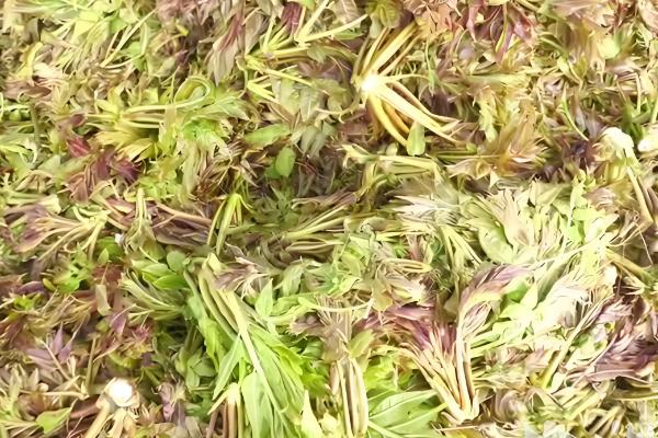 湖北浠水县的特产,茅山螃蟹畅销沿海城市