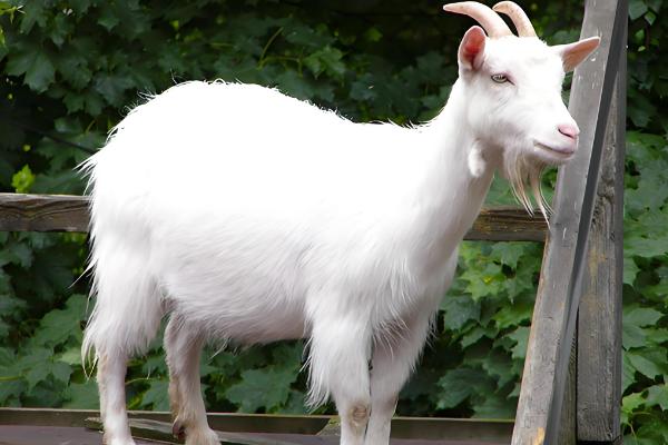 湖北浠水县的特产,茅山螃蟹畅销沿海城市