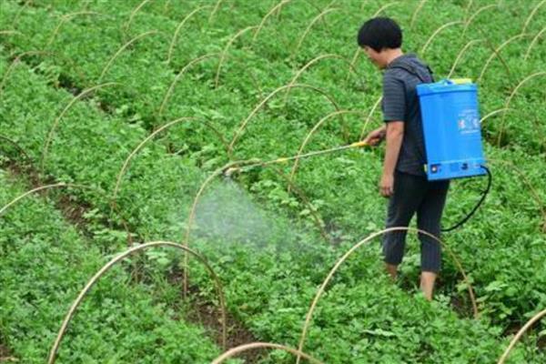 冲施肥的结合使用方法，生物肥与化肥相结合可以活化土壤