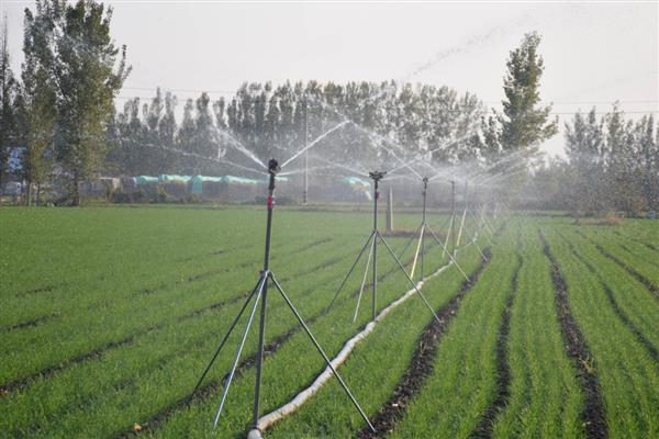 冲施肥的结合使用方法，生物肥与化肥相结合可以活化土壤