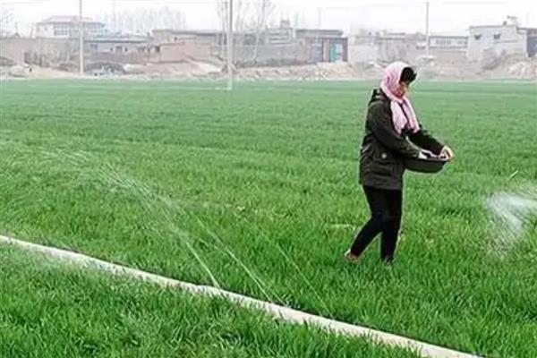 冲施肥的结合使用方法，生物肥与化肥相结合可以活化土壤