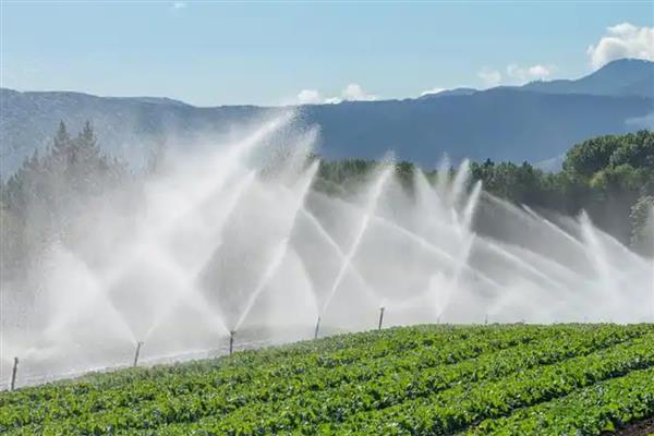 冲施肥的结合使用方法，生物肥与化肥相结合可以活化土壤