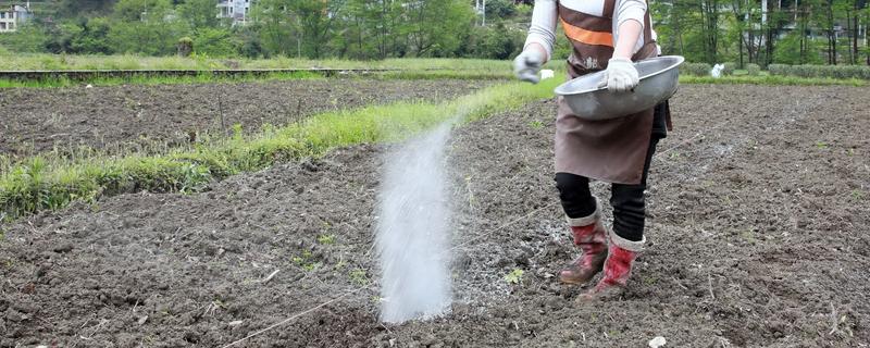 肥料施用过多对作物生长的坏处，会使作物生长受到抑制