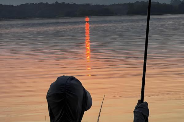 手竿钓黑鱼搭配几号鱼钩，搭配不同的鱼钩要选择不同的钩号