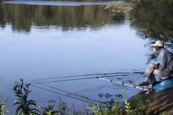 手竿钓黑鱼搭配几号鱼钩，搭配不同的鱼钩要选择不同的钩号