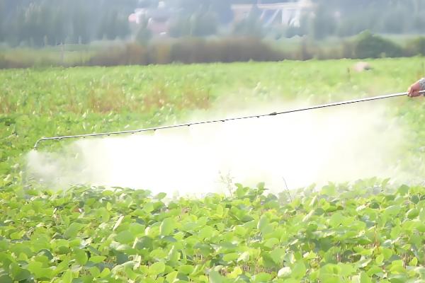 对植物施肥时要浇水的原因，有助于植物吸收营养