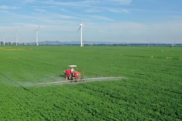 对植物施肥时要浇水的原因，有助于植物吸收营养