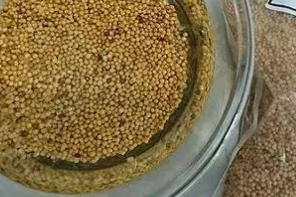 什么时候种秋波菜，8月份左右种植最佳