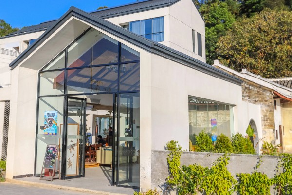 农村的发展潜力项目,推荐特色药材、大棚蔬菜种植等